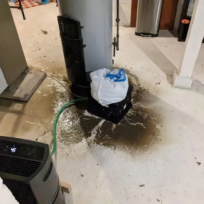 Sewage Backup Cleanup Service in Brookdale, NJ